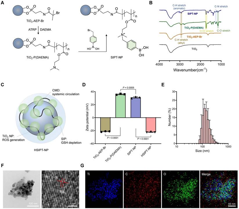 Theranostics Image