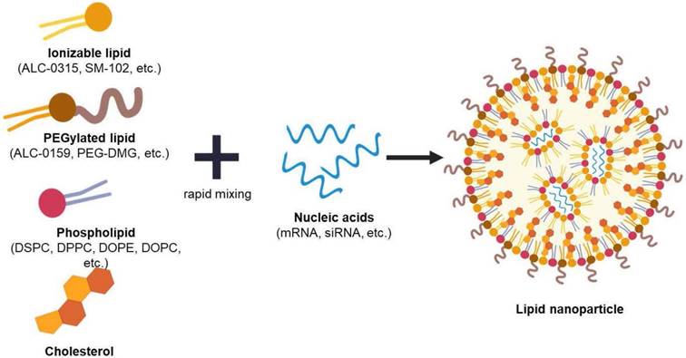 Theranostics Image