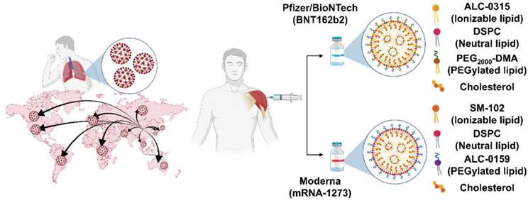 Theranostics Image