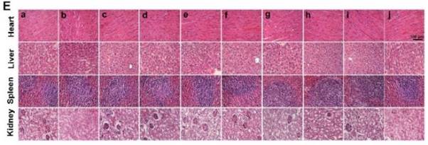 Theranostics Image