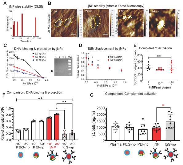 Theranostics Image