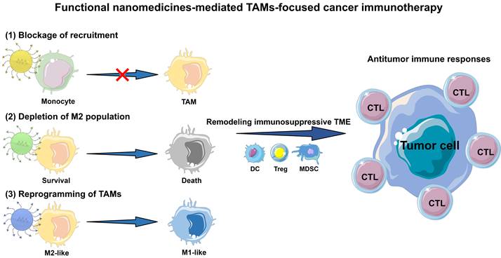 Theranostics Image