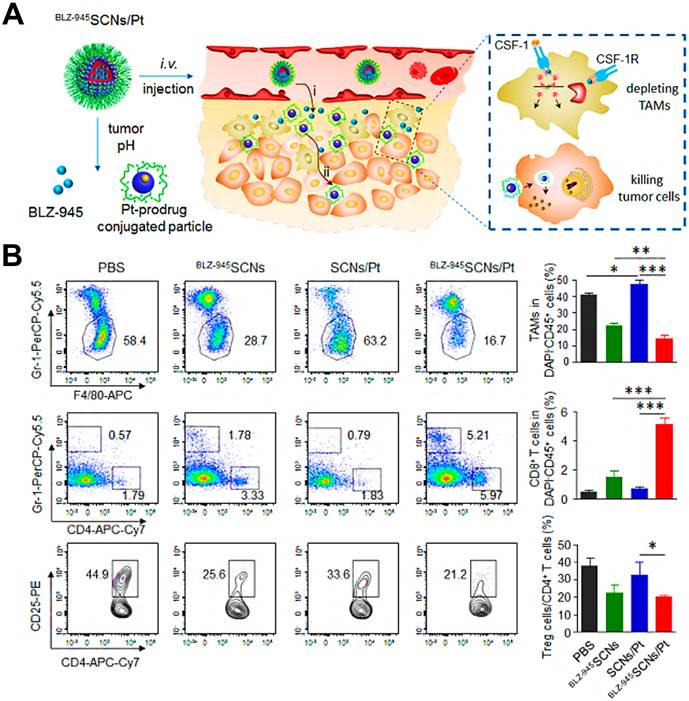 Theranostics Image