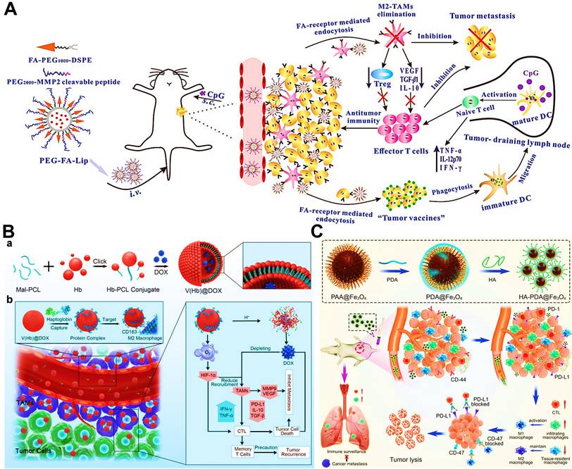 Theranostics Image