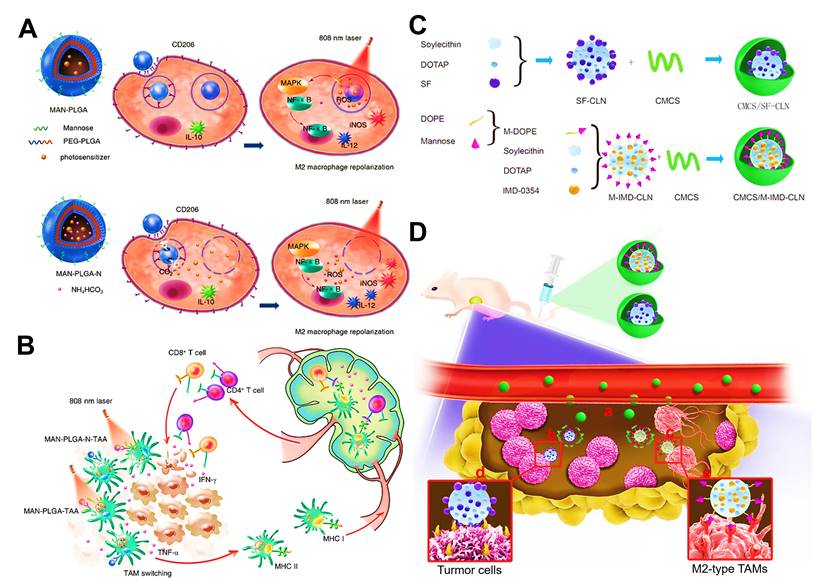 Theranostics Image