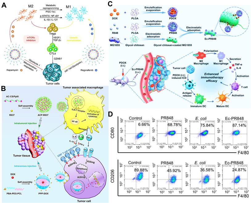 Theranostics Image