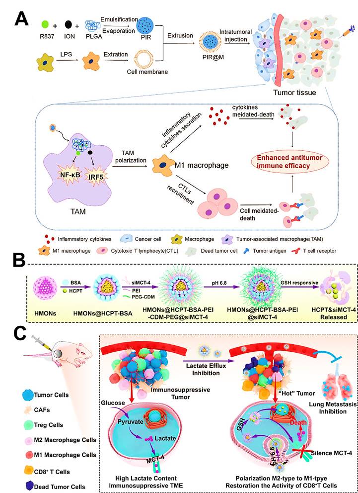 Theranostics Image