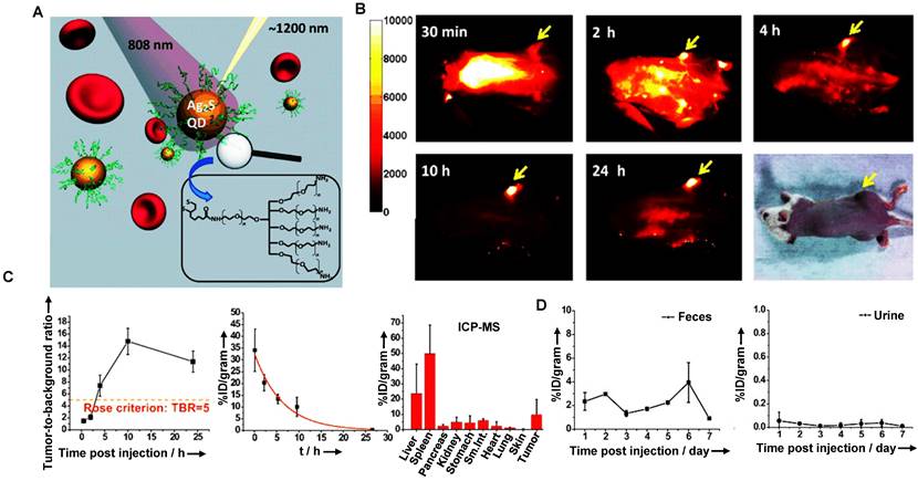 Theranostics Image