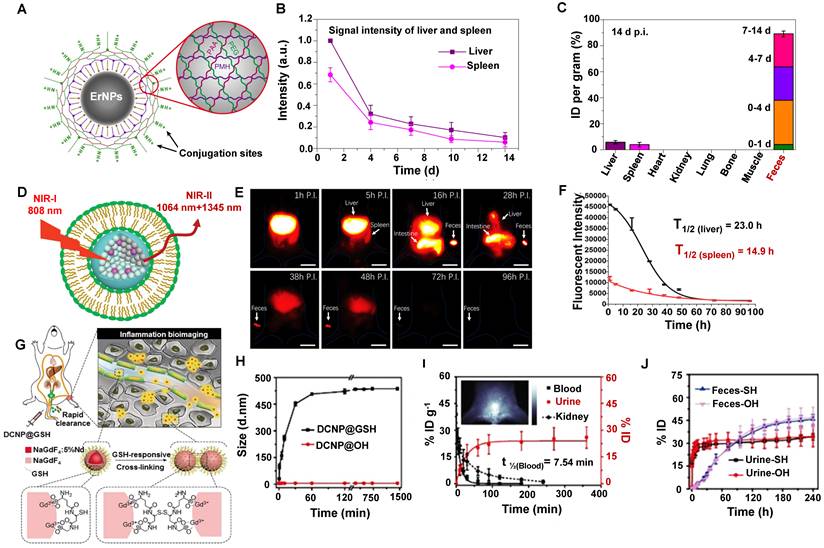 Theranostics Image