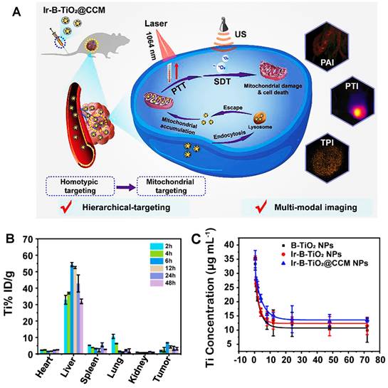 Theranostics Image