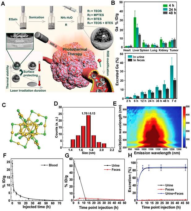 Theranostics Image