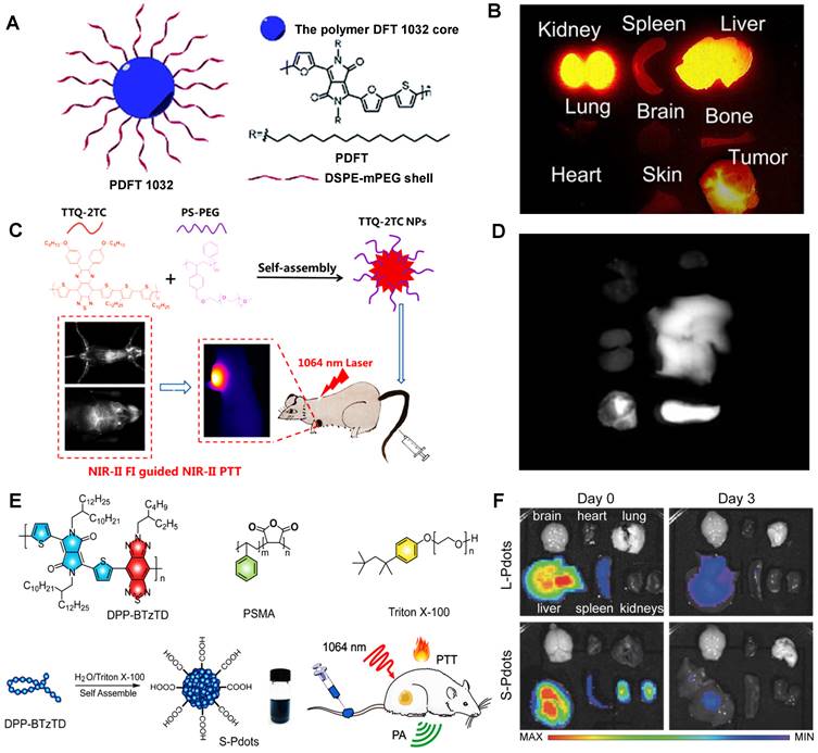 Theranostics Image