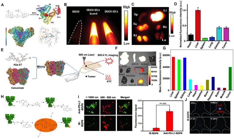 Theranostics Image