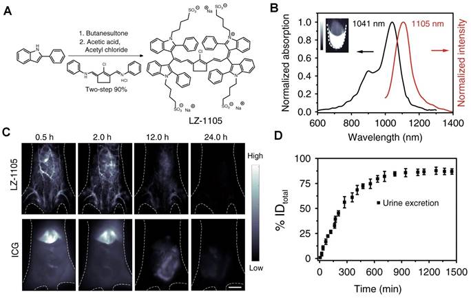 Theranostics Image