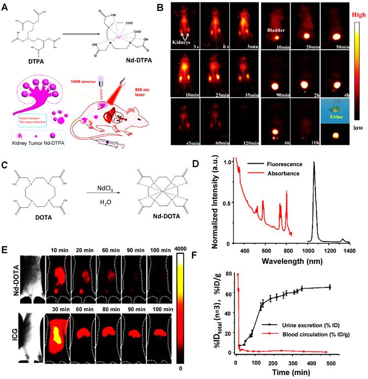 Theranostics Image