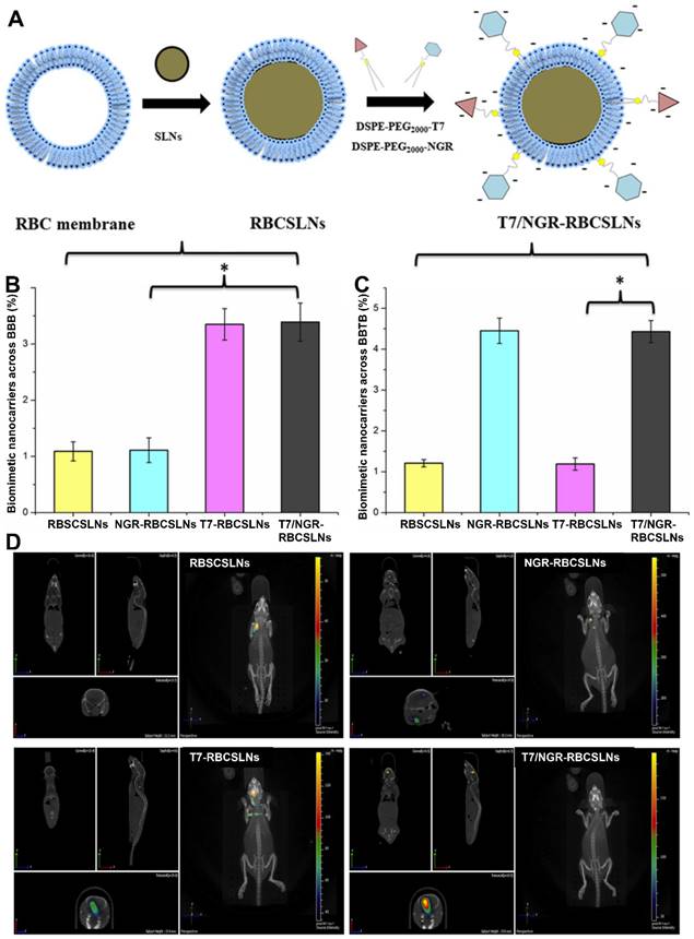 Theranostics Image