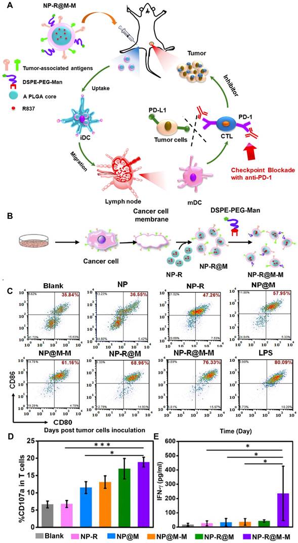 Theranostics Image