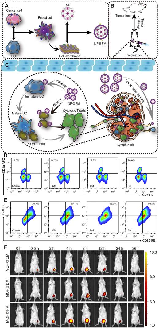 Theranostics Image