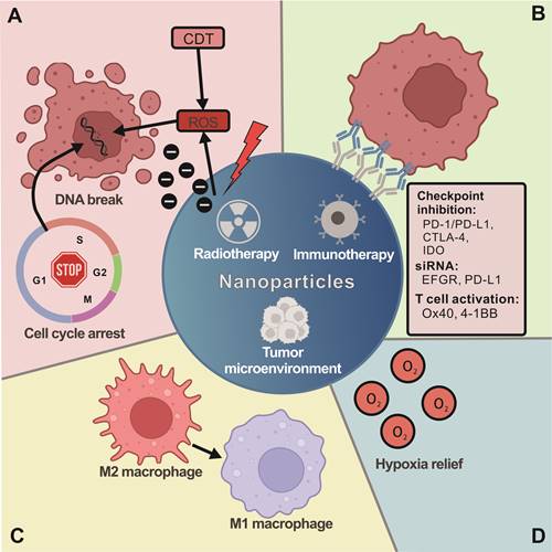 Theranostics Image