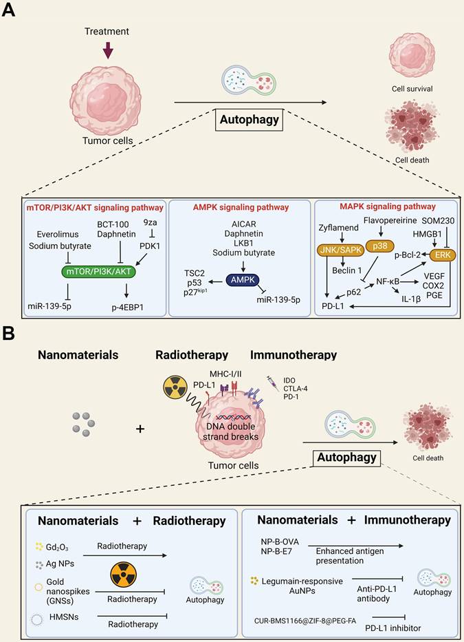 Theranostics Image