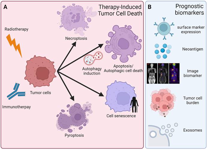 Theranostics Image