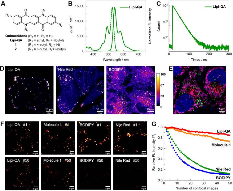 Theranostics Image