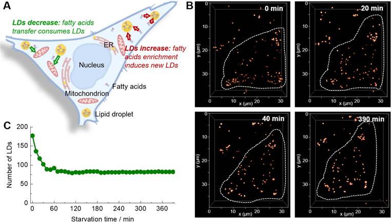 Theranostics Image