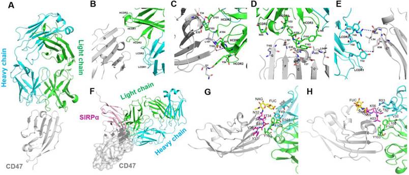 Theranostics Image