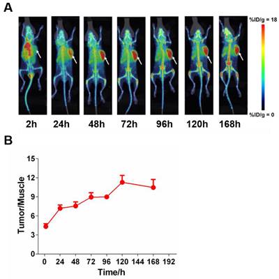 Theranostics Image