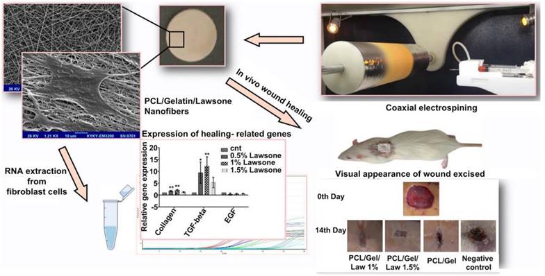 Theranostics Image