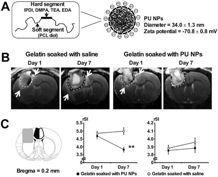 Theranostics Image