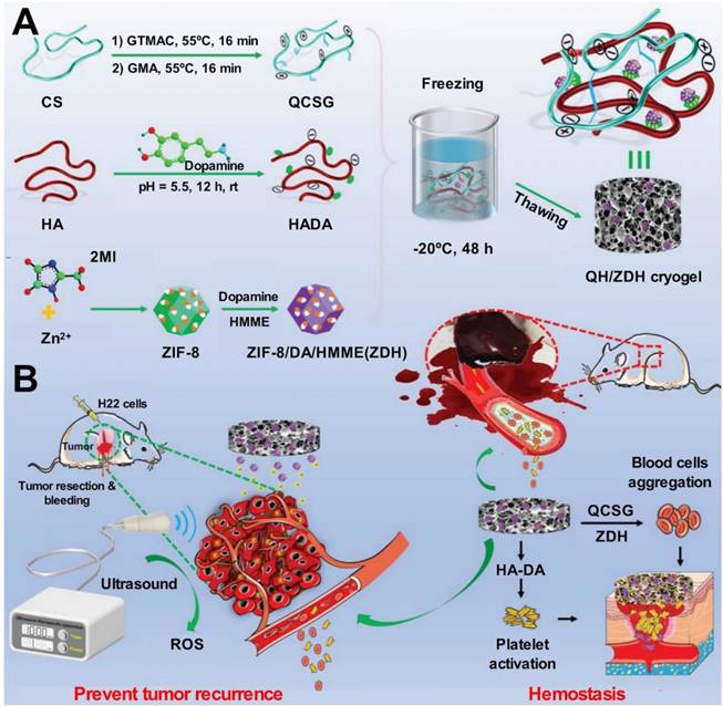 Theranostics Image