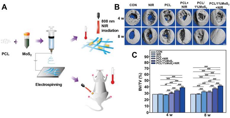 Theranostics Image