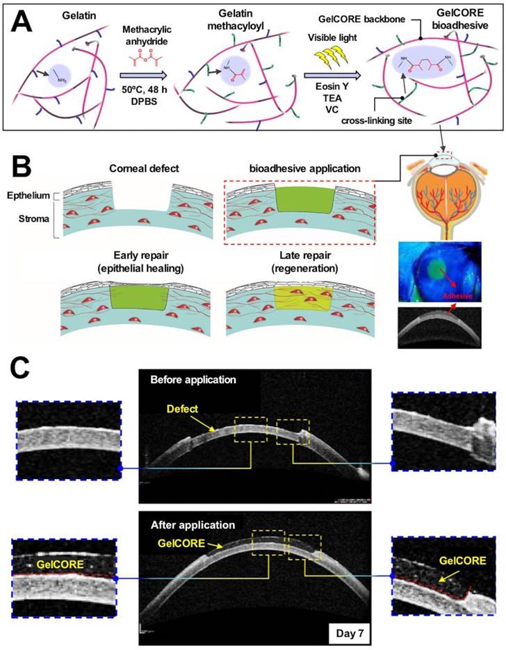 Theranostics Image