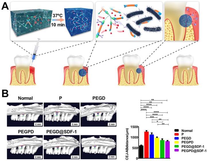 Theranostics Image