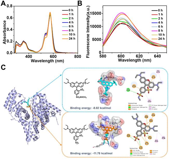 Theranostics Image