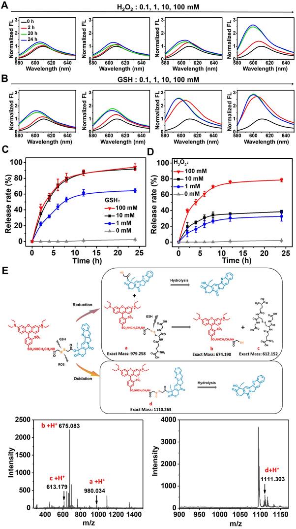 Theranostics Image