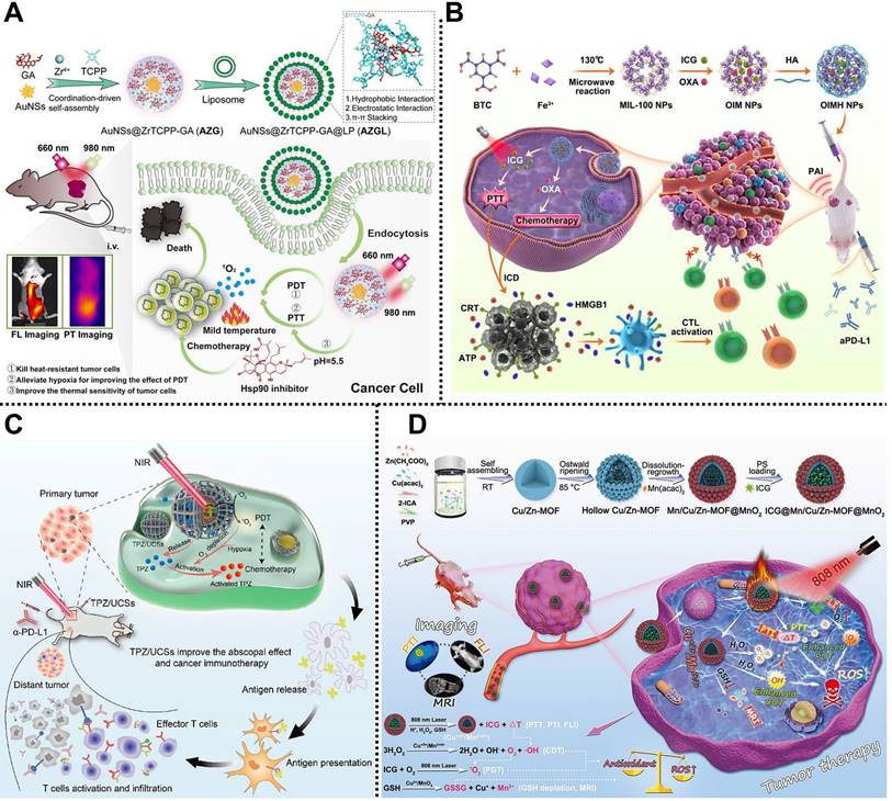 Theranostics Image