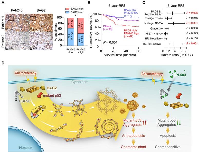 Theranostics Image