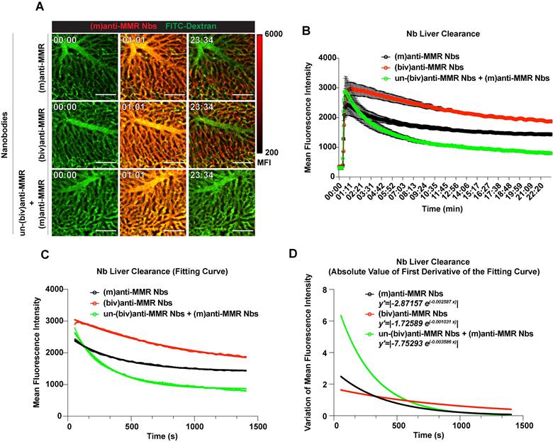 Theranostics Image