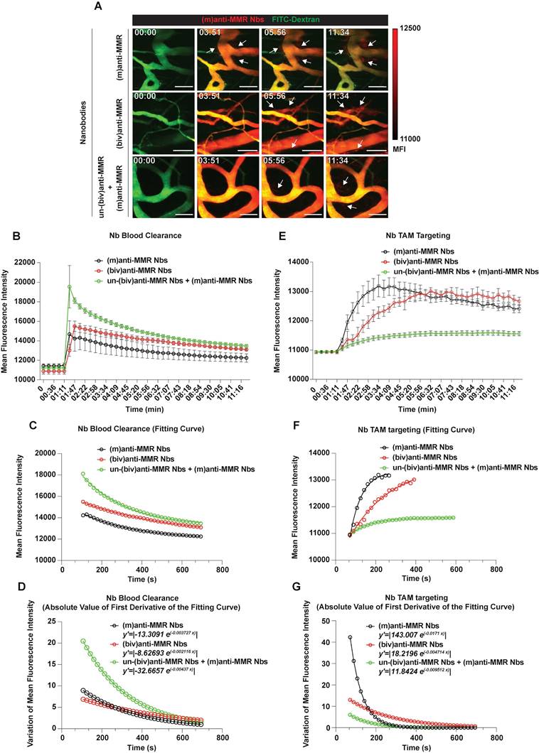 Theranostics Image