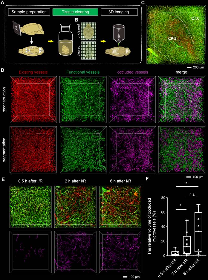 Theranostics Image