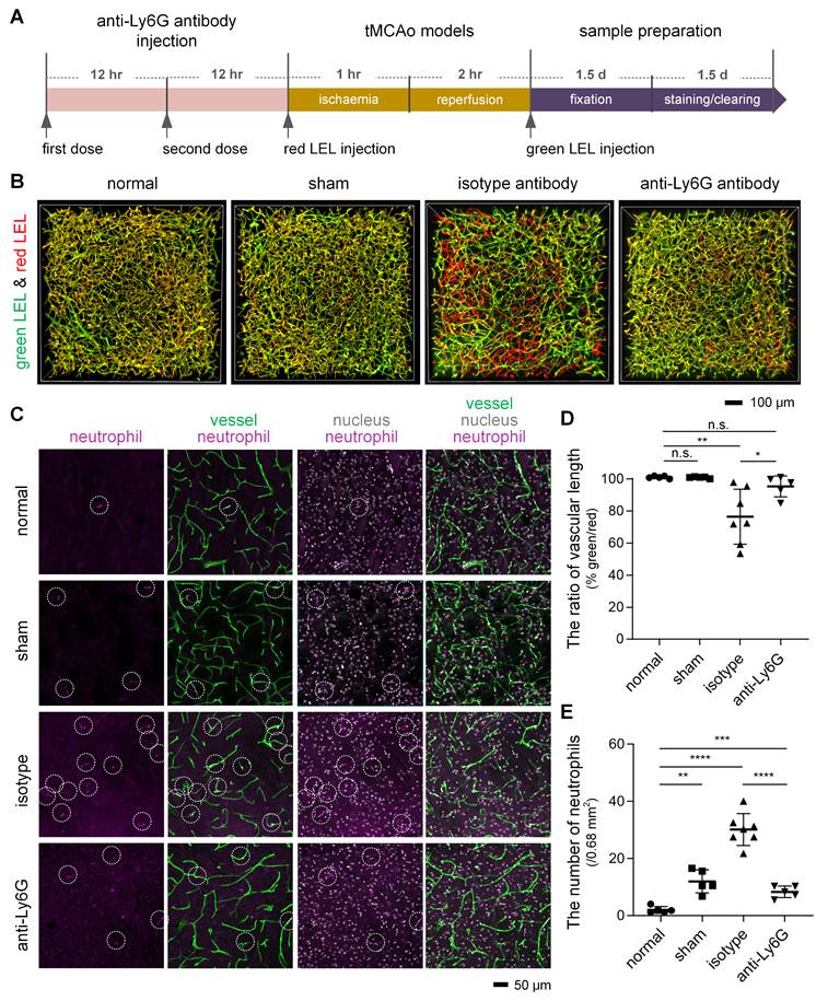 Theranostics Image