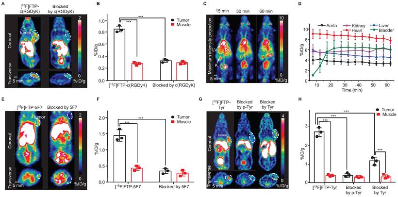 Theranostics Image