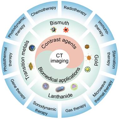 Theranostics Image