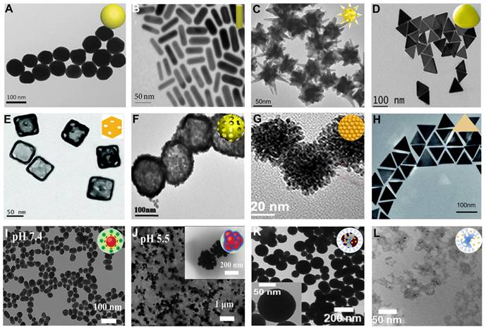 Theranostics Image