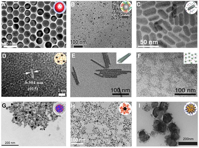 Theranostics Image