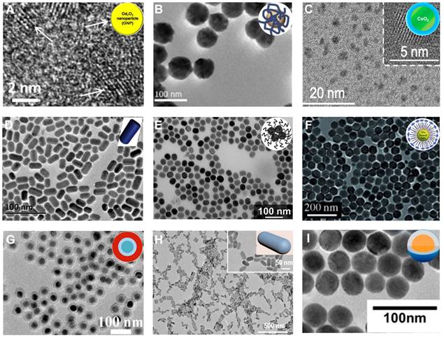 Theranostics Image