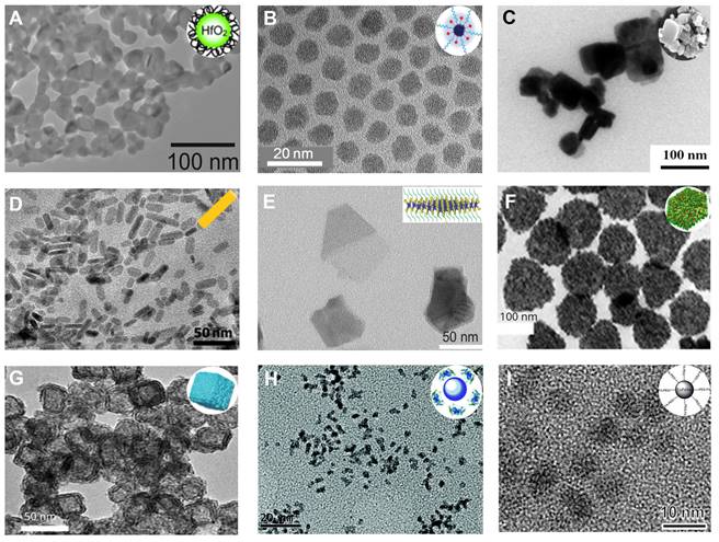 Theranostics Image