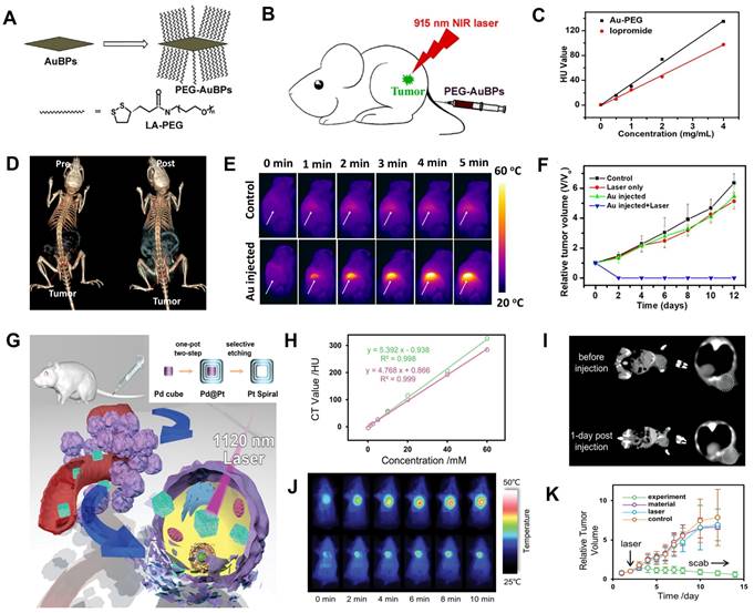 Theranostics Image